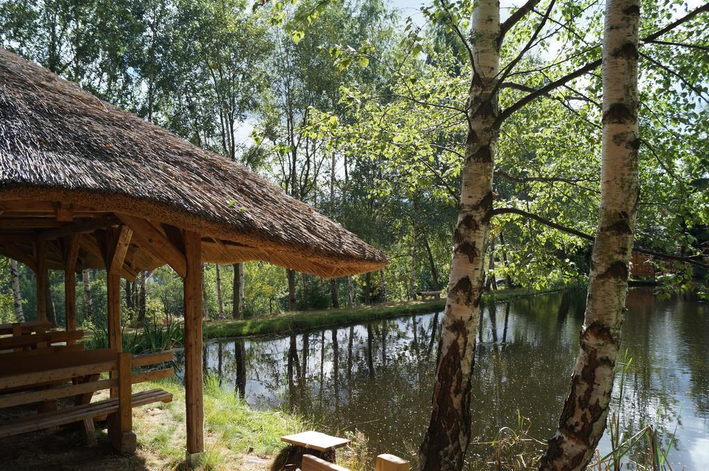 Misiowka Apartment Szklarska Poręba Exterior foto